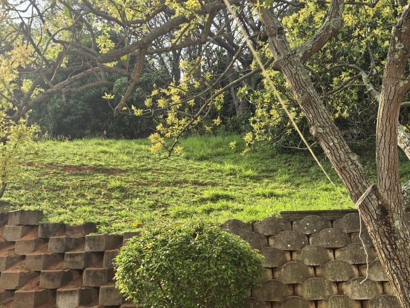 A sloped garden area featuring a tiered concrete block retaining wall and established trees.