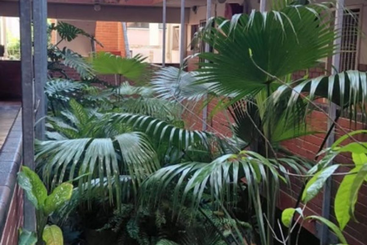 An exterior view of an apartment complex courtyard featuring exposed brick walls, metal structural supports, and established greenery within the central atrium space.