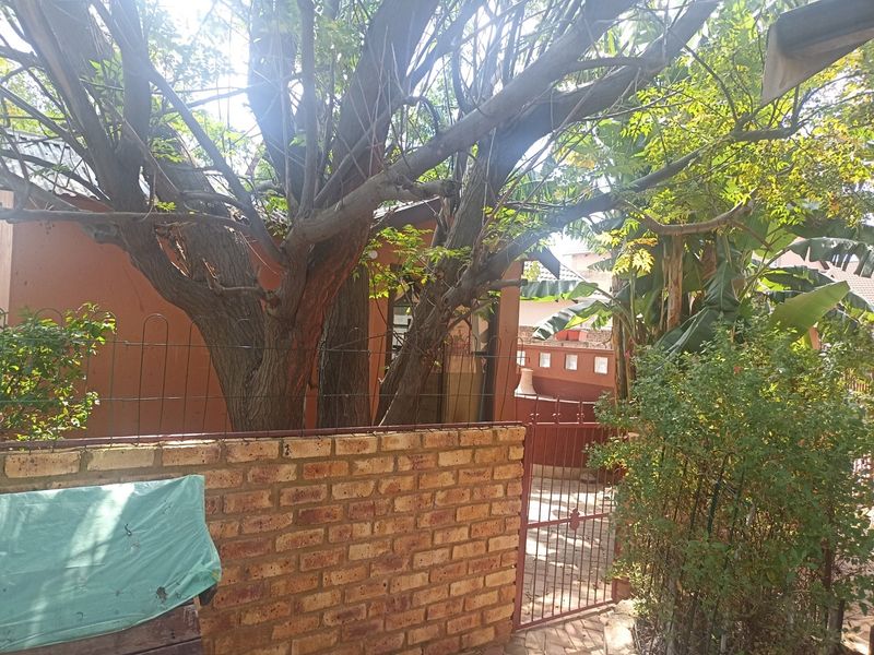 A view of the rear garden area featuring a brick boundary wall, metal gate, and mature trees providing shade and privacy.