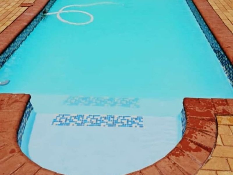 A rectangular swimming pool featuring a curved entry step, surrounded by brick paving and a brick boundary wall.