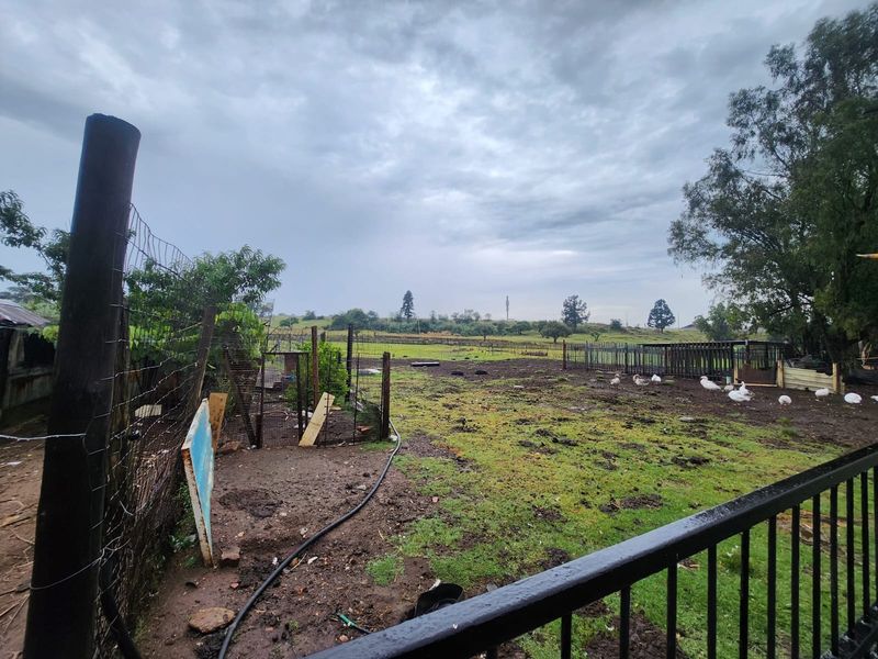 Small holding in Witpoort Estates - Photo 3