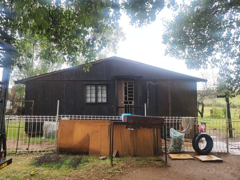 Small holding in Witpoort Estates - Photo 5