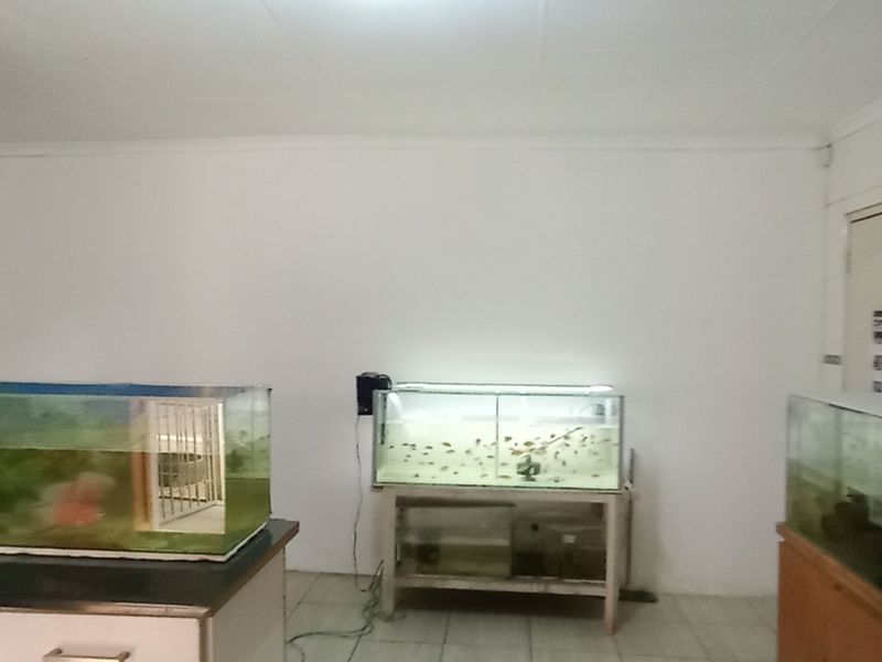 Spacious 3-Bedroom Home with Flat let & Top-Notch Security - Photo 8