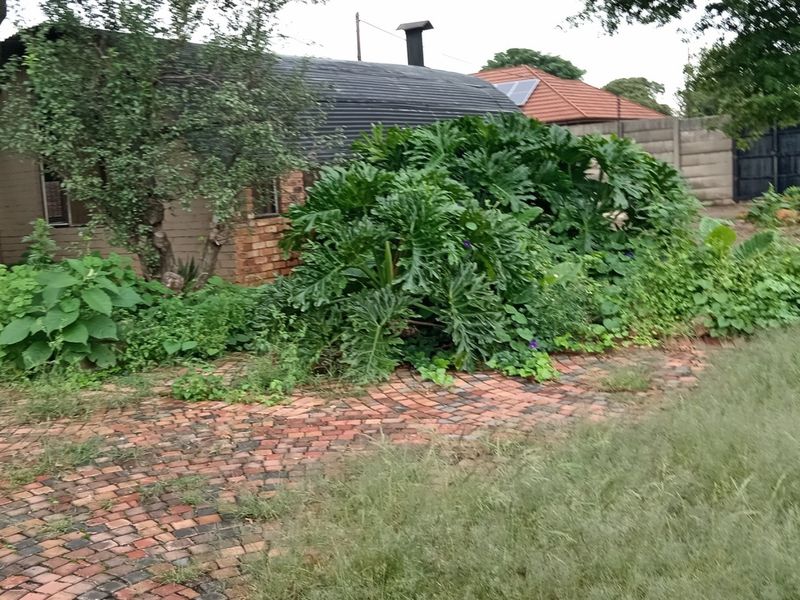 Rear exterior view of the property featuring a brick-paved area, corrugated metal roof, and an overgrown garden requiring maintenance.
