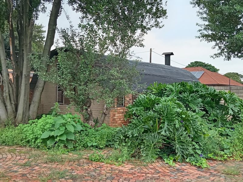 Rear exterior view of the property featuring a brick-paved area, mature trees, and a structure with a corrugated metal roof and chimney.