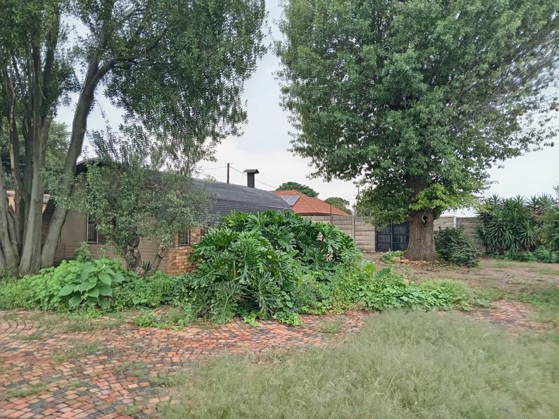Rear garden area featuring mature trees, brick paving, and a precast concrete boundary wall with a visible metal chimney flue.