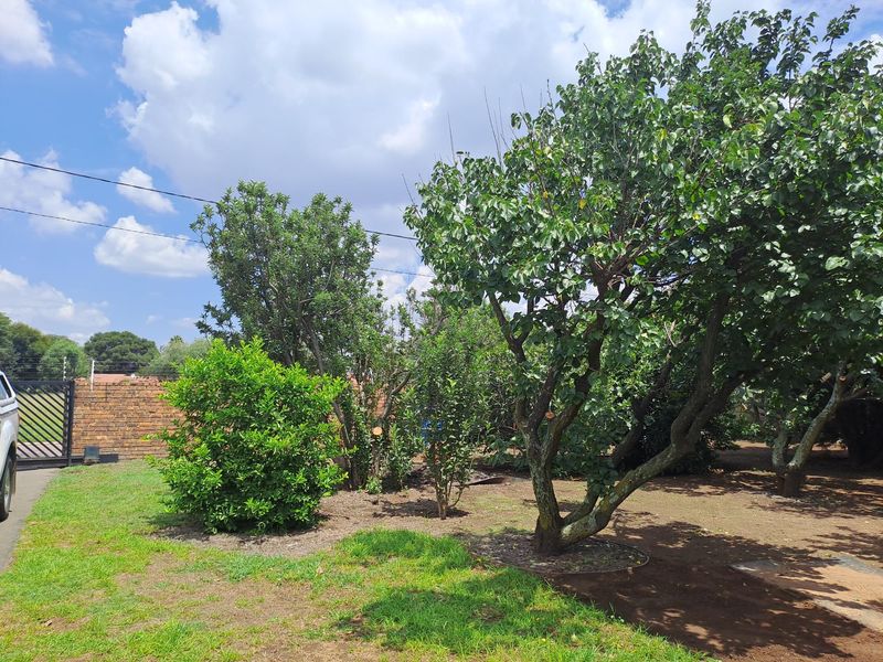A well-established garden area featuring mature trees and a brick boundary wall, providing a private outdoor space.