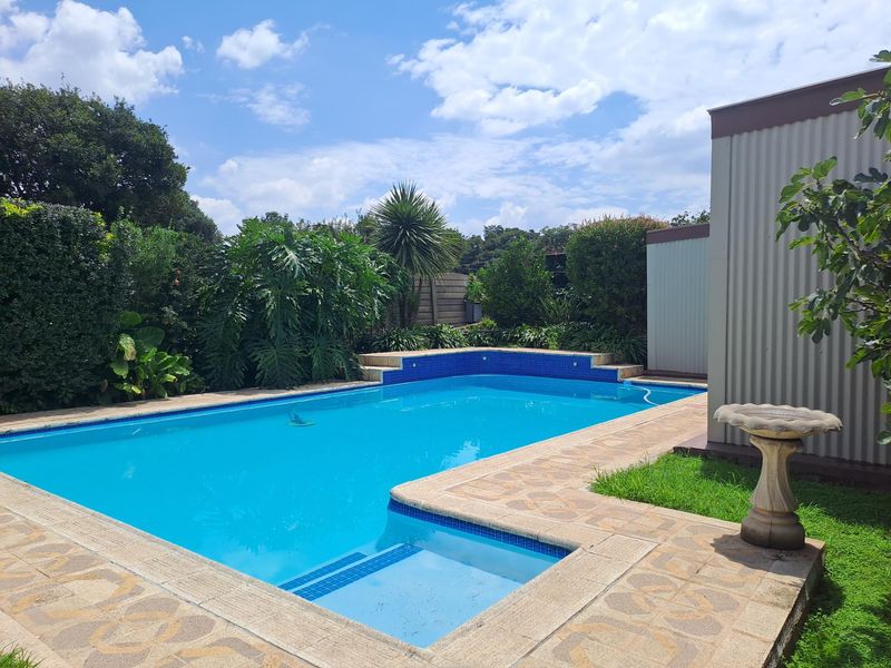 A well-maintained outdoor swimming pool area featuring blue tiled coping, paved surround, and established garden landscaping.