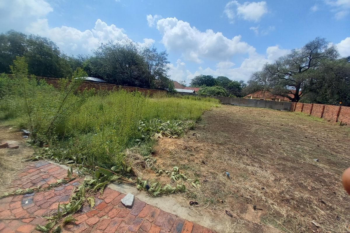 A vacant residential plot featuring a brick paved section, perimeter brick and concrete boundary walls, and significant overgrown vegetation.