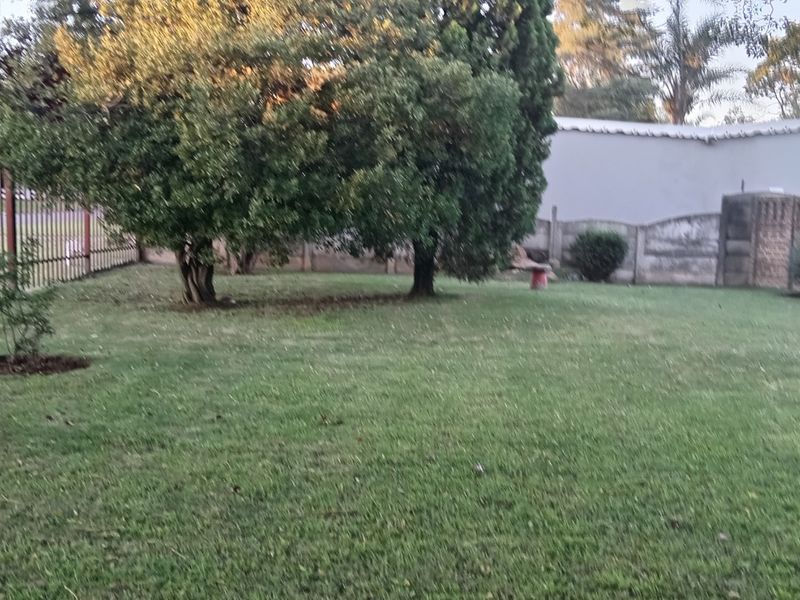 A spacious residential garden featuring established trees, a lawn area, and secure perimeter fencing with a precast concrete boundary wall.