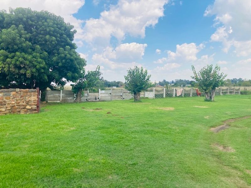 A spacious garden area featuring a stone boundary wall, mature trees, and a timber fence perimeter.