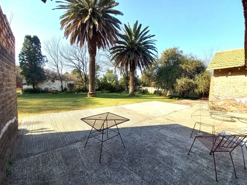 Spacious rear garden area featuring a concrete patio, mature palm trees, and established lawn, bordered by brick structures.