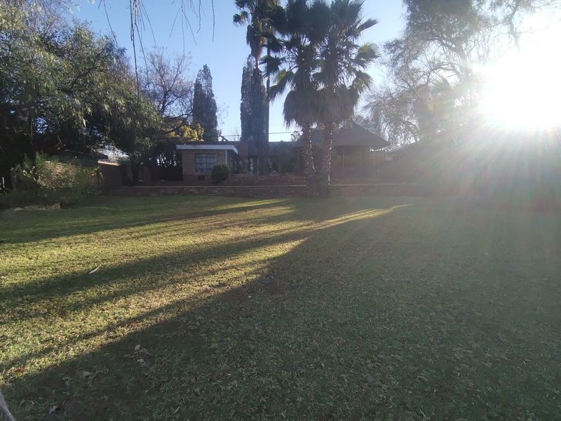 A spacious rear garden featuring a large lawn, mature palm trees, and a brick retaining wall leading to the main house structure.
