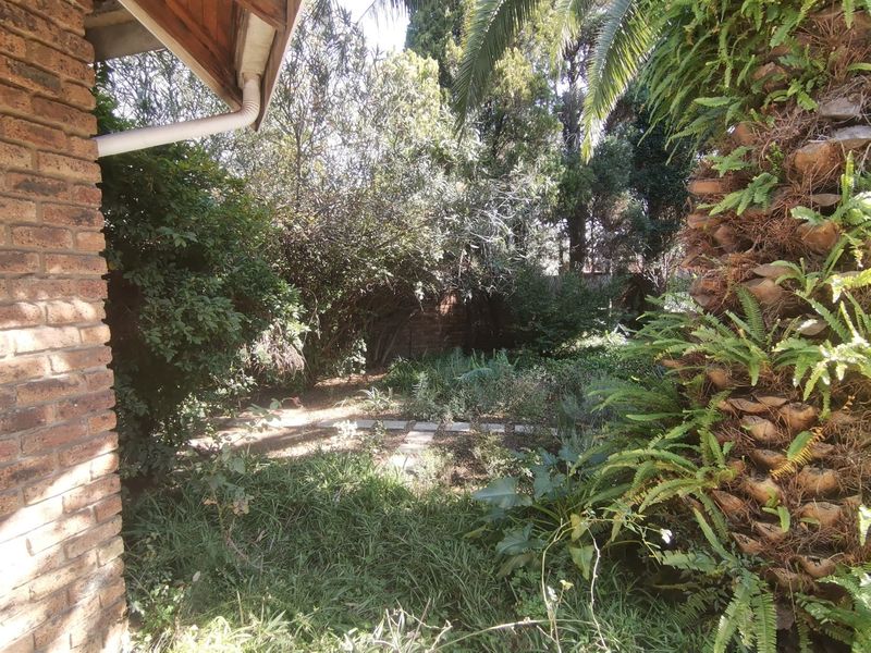 A view of a mature, established garden area featuring dense foliage, palm trees, and a small paved pathway adjacent to the brick house exterior.