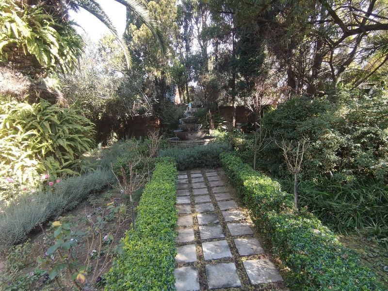 A lush, established garden featuring a central tiered water fountain, a stone paver pathway, and mature landscaping with manicured hedging.