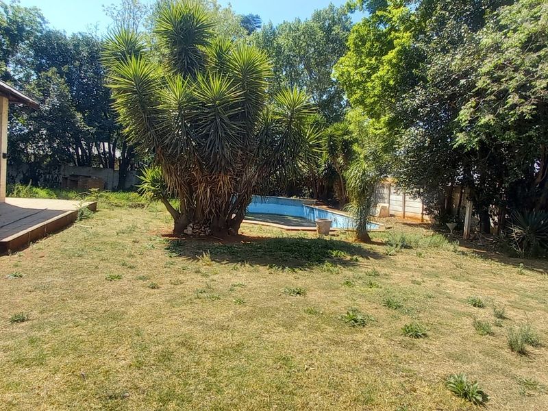 Spacious backyard featuring a swimming pool, concrete patio area, and mature trees, requiring landscaping and pool maintenance.