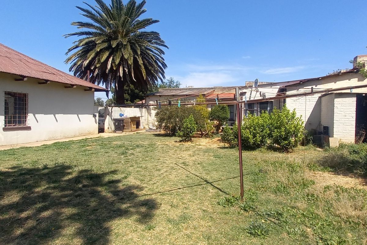 A spacious rear garden area featuring a lawn, established palm tree, and brick boundary walls, with views of the house exterior and metal roofing.