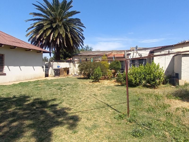A spacious rear garden area featuring a lawn, established palm tree, and brick boundary walls, with views of the house exterior and metal roofing.