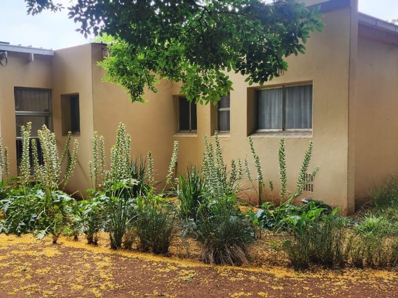Rear exterior view of the house featuring plastered walls, security bars on windows, and a garden area with established landscaping.