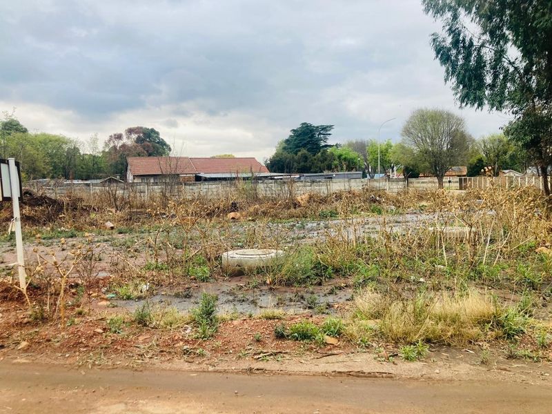 A vacant residential plot featuring overgrown vegetation, a concrete boundary wall, and a visible manhole cover, offering a blank canvas for future development.