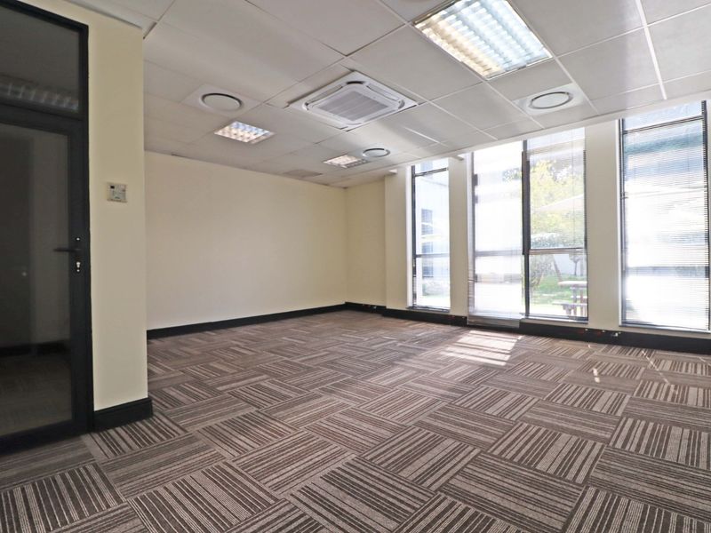 A bright, vacant office space featuring carpeted flooring, suspended ceilings with integrated lighting, central air conditioning, and large windows providing natural light.