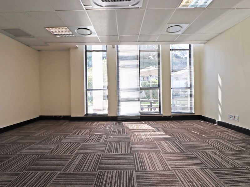 A bright, empty office space featuring carpet tiles, a suspended ceiling with recessed lighting, and large windows providing natural light.