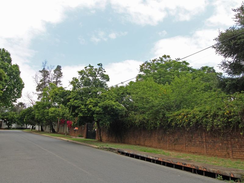 A street-level view showing the property's brick boundary wall, mature trees, and adjacent asphalt road with a concrete drainage channel.