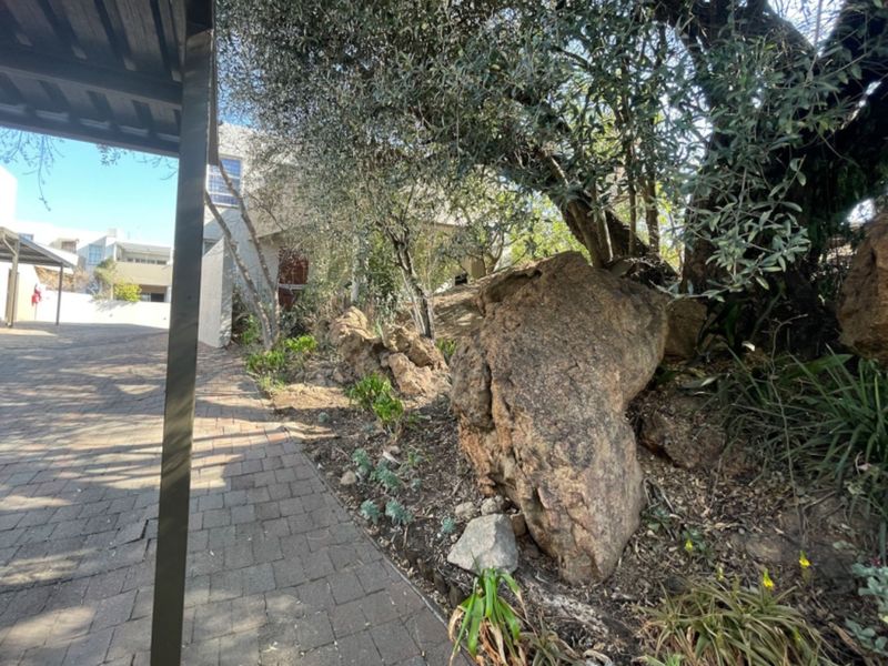 A paved driveway leading to a carport, featuring established trees and a prominent natural rock formation in the front garden area.
