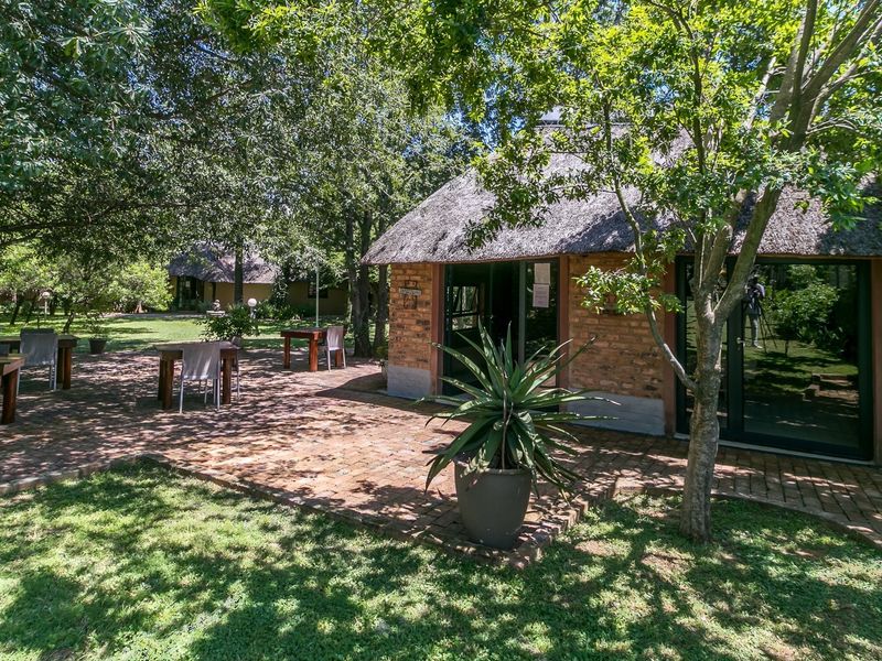 A rustic outdoor patio area featuring brick paving, exposed brick walls, and a traditional thatch roof, set within a lush, tree-filled garden environment.