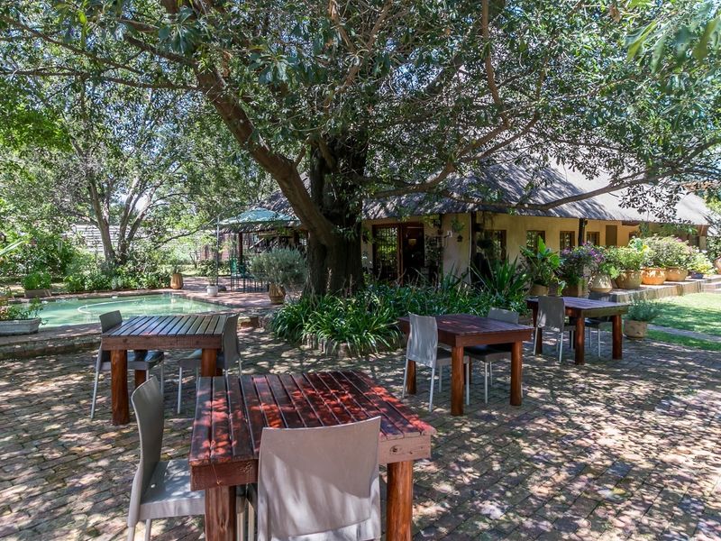A spacious outdoor patio area featuring brick paving, a swimming pool, and a thatched roof structure, shaded by large mature trees.