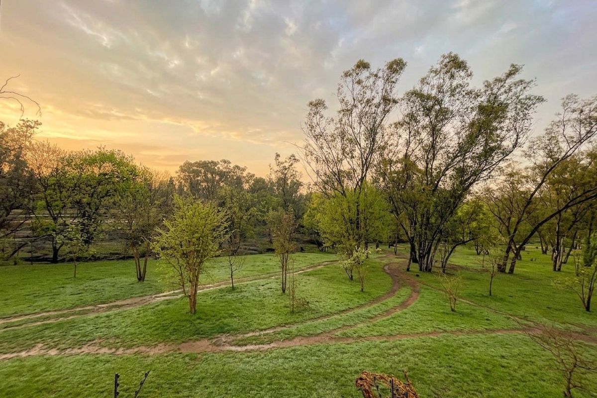 WHERE BRYANSTON MEETS NATURE - Photo 2