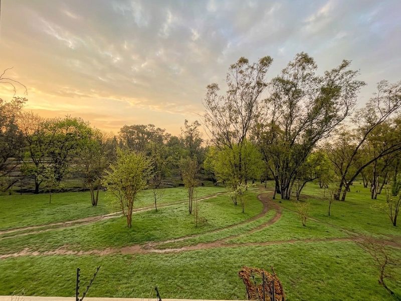 A scenic view overlooking a lush green parkland area with mature trees and natural pathways at sunset.