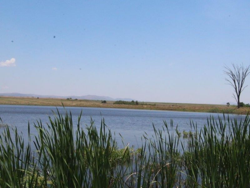 A scenic view of a farm dam surrounded by natural vegetation and open fields under a clear blue sky.