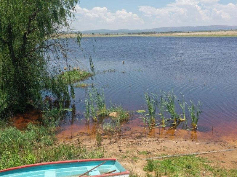 A scenic view of the natural dam and waterfront on the farm property, showcasing the tranquil landscape and surrounding vegetation.