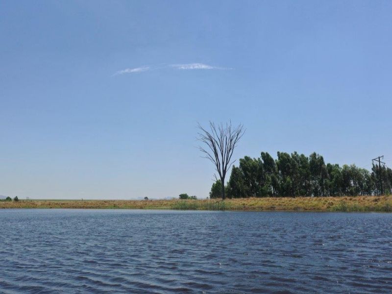 A scenic view of a tranquil farm dam surrounded by natural vegetation and open landscape.