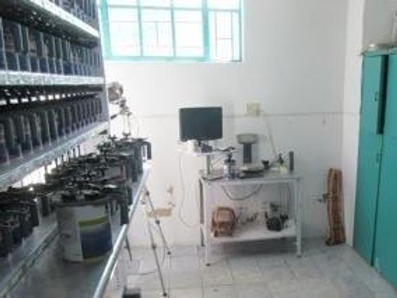 A functional utility or workshop space featuring industrial shelving, tiled flooring, and built-in storage cabinets, suitable for commercial or storage use.