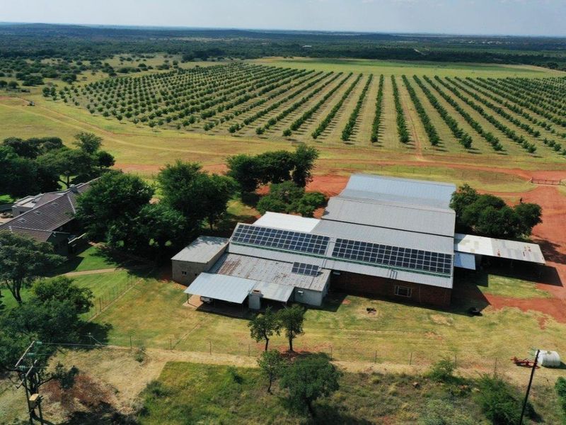 Aerial view of a farm property featuring a large building with extensive solar panel installations, surrounded by a vast orchard and open land.