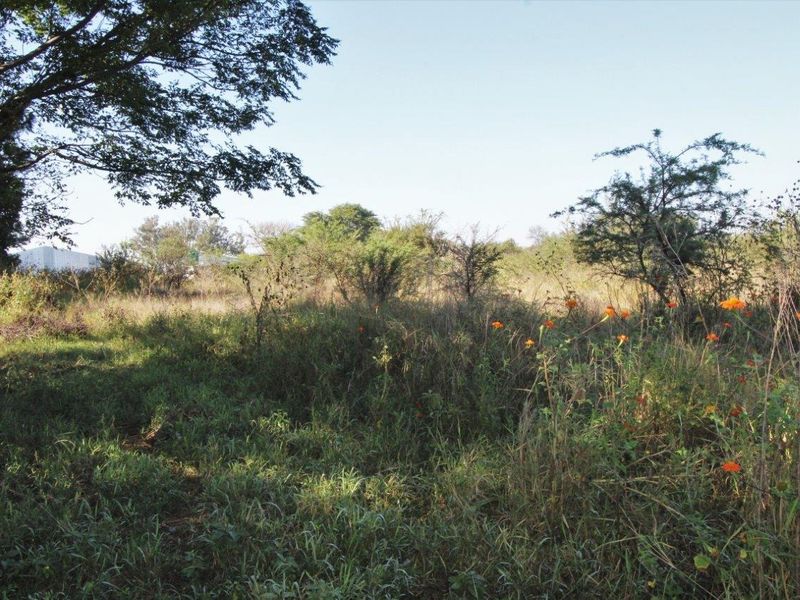 A view of the undeveloped commercial land featuring natural vegetation and mature trees.