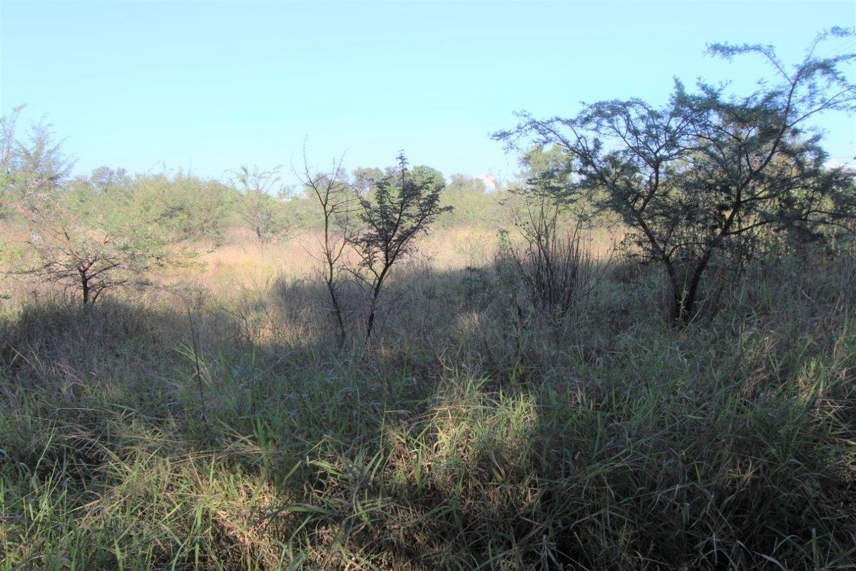 A view of the undeveloped commercial land featuring natural vegetation and open terrain.
