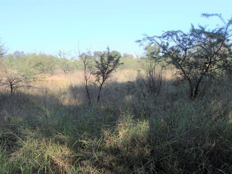A view of the undeveloped commercial land featuring natural vegetation and open terrain.