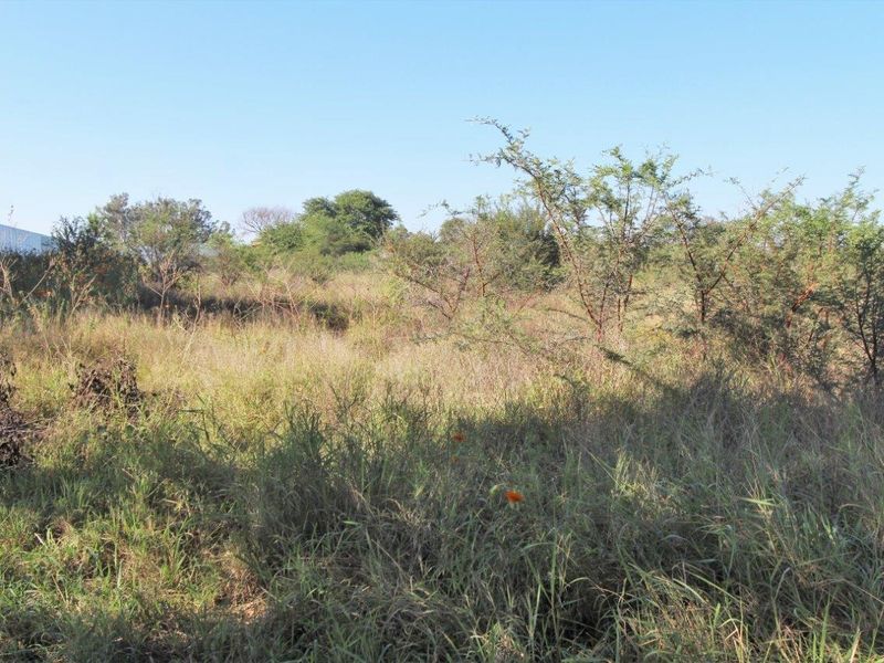 A view of an undeveloped, overgrown vacant commercial land plot featuring native shrubs and grasses.