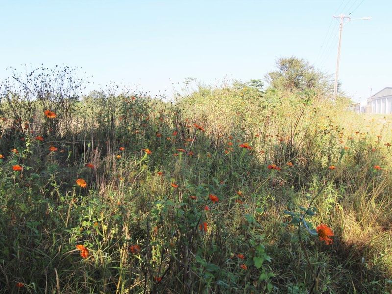 A view of the vacant commercial land featuring natural vegetation and an existing utility pole on the property boundary.