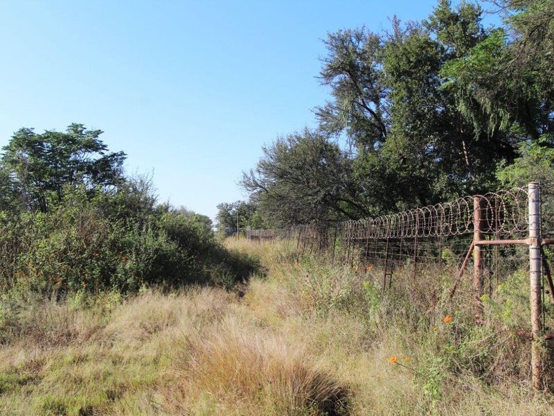 A view of the property boundary featuring overgrown vegetation and aged metal fencing topped with razor wire.