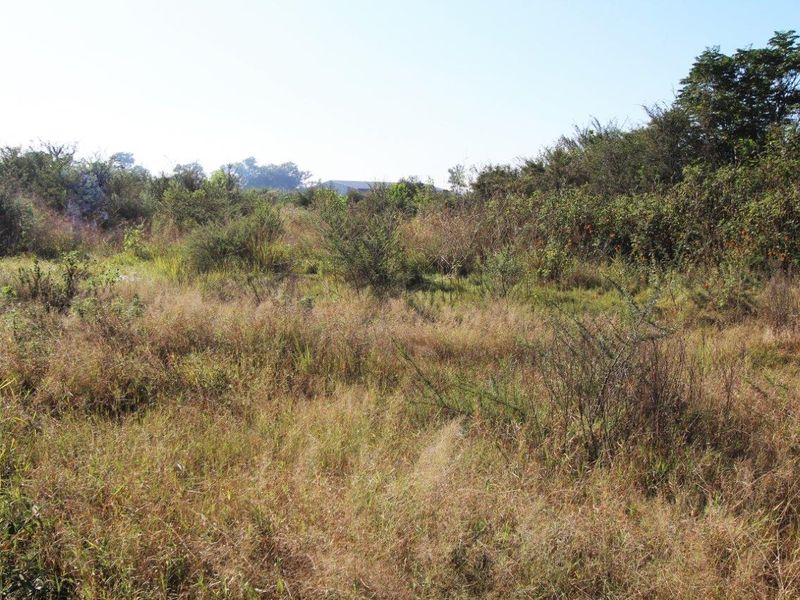 A view of an undeveloped commercial land plot featuring natural vegetation and open space.