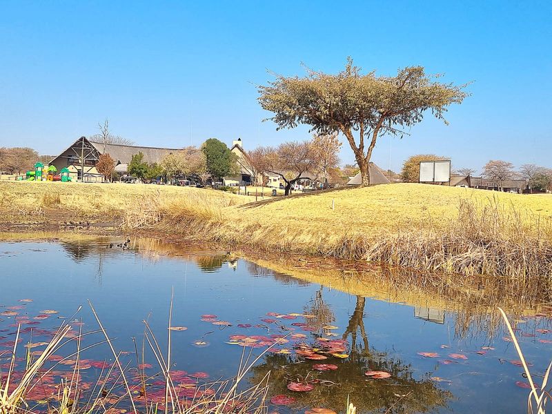 A scenic view of a tranquil pond with surrounding landscaped grounds and distant commercial buildings.