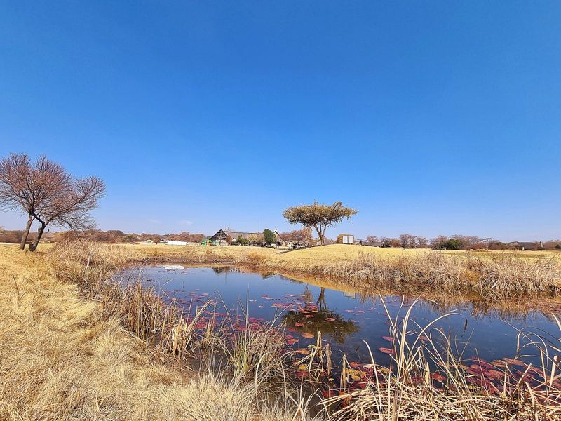 A scenic view of a natural pond set within expansive, open commercial land with mature trees and clear blue skies.
