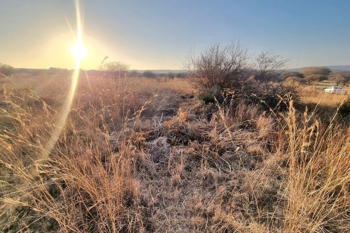 A view of undeveloped vacant land featuring dry grass and natural vegetation under a bright sunset.