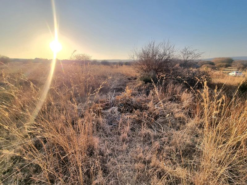 A view of undeveloped vacant land featuring dry grass and natural vegetation under a bright sunset.
