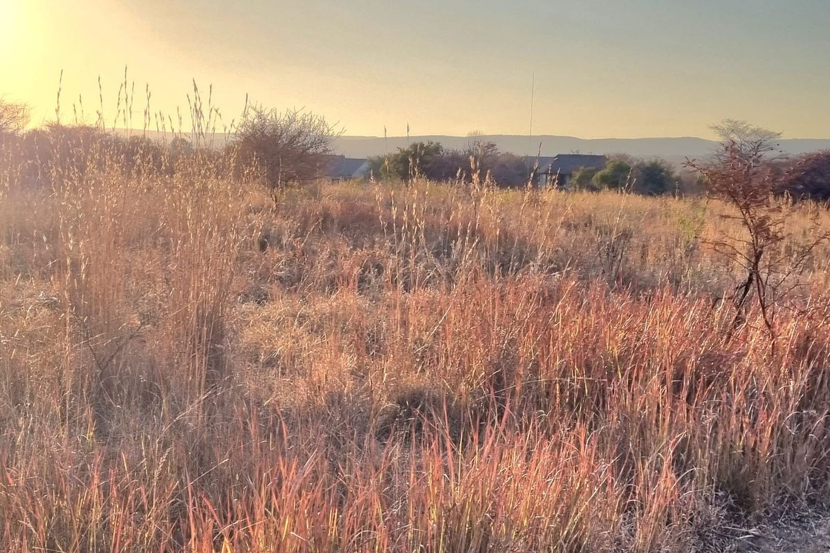 A view of a vacant commercial land plot featuring natural vegetation and open space under a sunset sky.