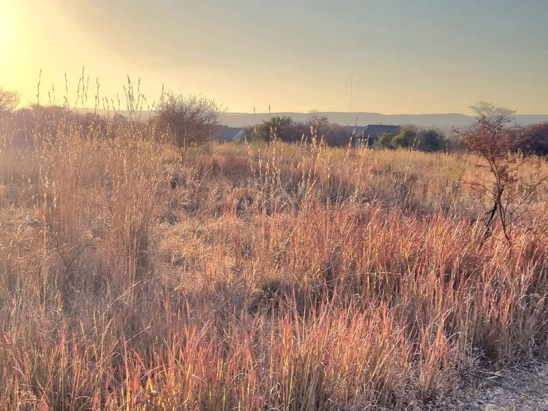 A view of a vacant commercial land plot featuring natural vegetation and open space under a sunset sky.